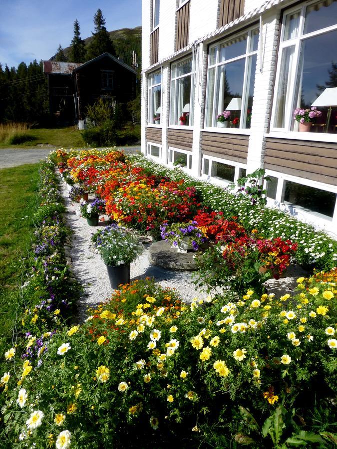 Tronsvangen Seter Alvdal Eksteriør bilde