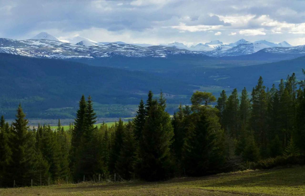 Tronsvangen Seter Alvdal Eksteriør bilde